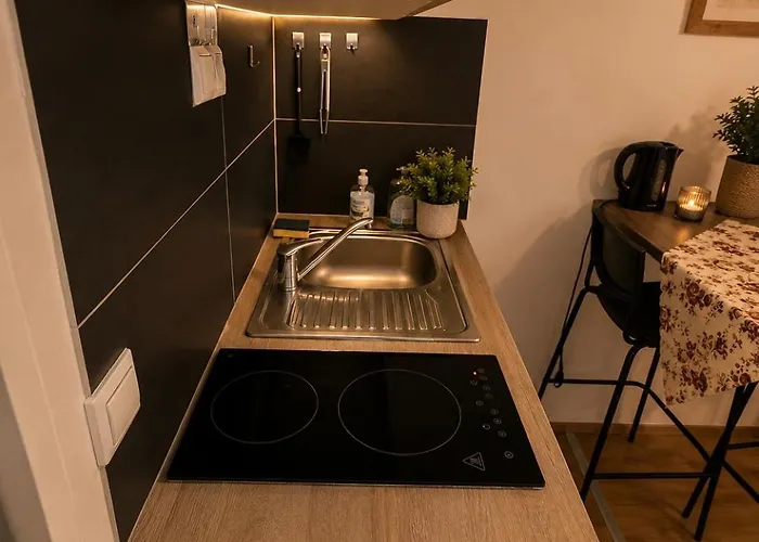 Kwatera prywatna Modern Loft With Private Kitchenette & Shower Wiedeń
